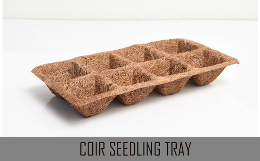 seedling tray in kerala